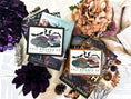 Load image into Gallery viewer, Fall Booked Up Sign - Purple and Multi Colored Versions- ©️ Fire Drake Artistry 2024. Wooden sign with white background and black or wood frame frame, UV printed design with a cluster of pumpkins beside a stack of books and bats flying around.