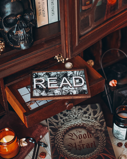 Spicy Read Shelf Sign  by FireDrake Artistry®
