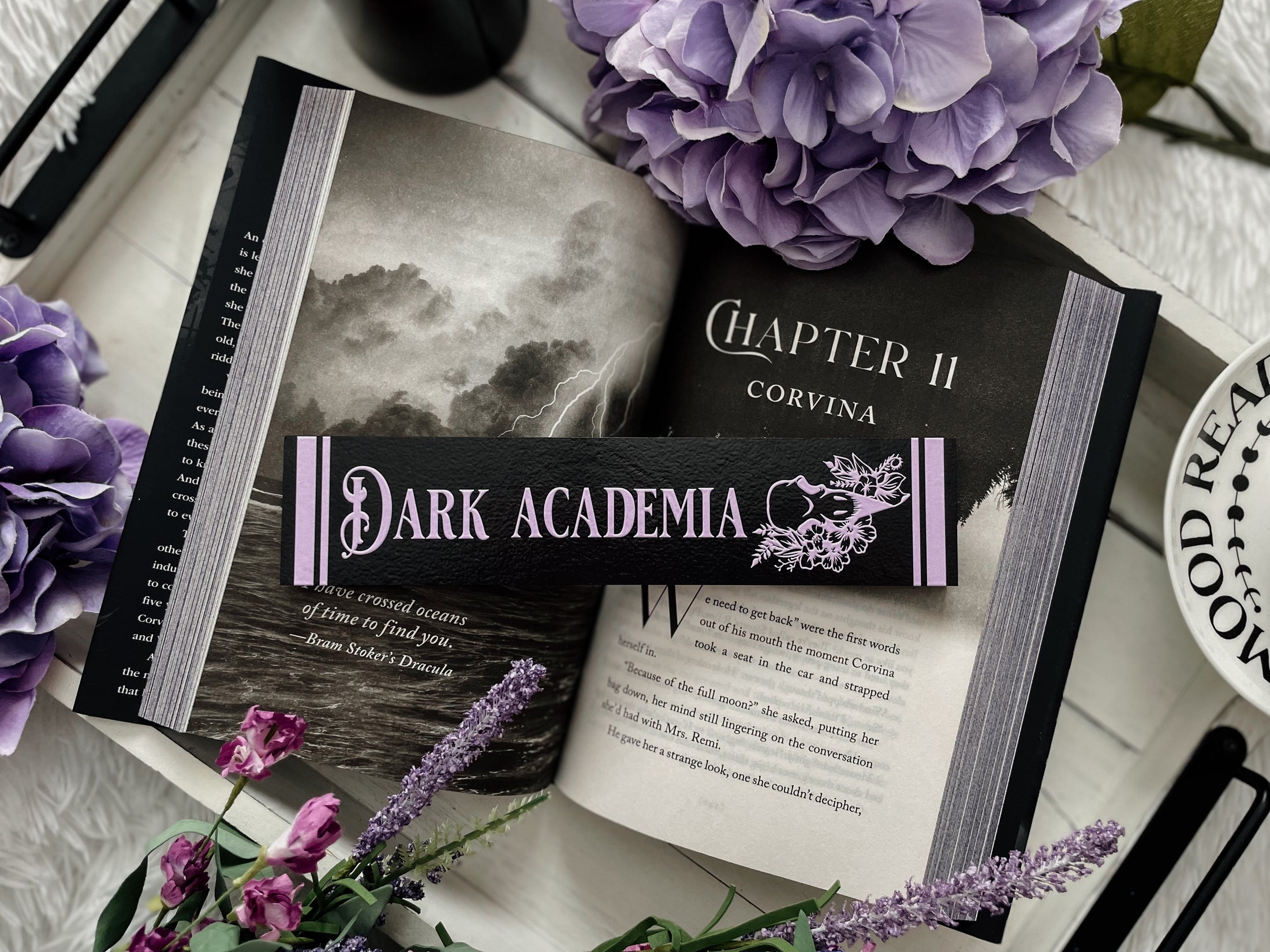 Dark Academia Shelf Mark™