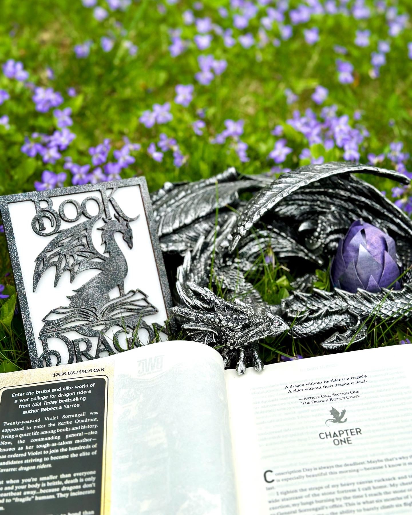 Book Dragon Sign  created by FireDrake Artistry®