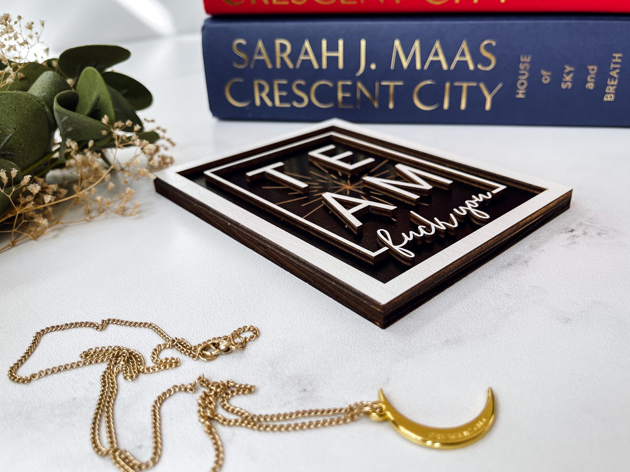 Team Fuck You Crescent City Sign by FireDrake Artistry®